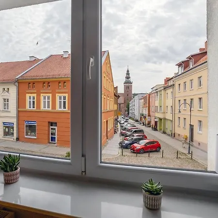 Alpaka 2 * Lidzbark Warmiński