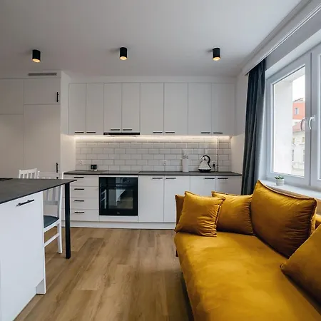 Alpaka 2 Lidzbark Warmiński