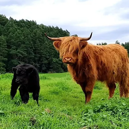 Alpaka 2 Appartamento