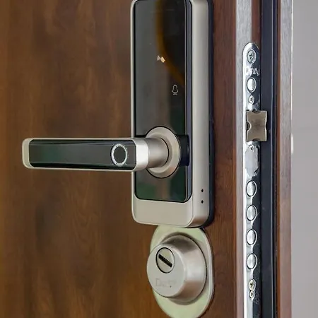 Alpaka 2 Lidzbark Warmiński